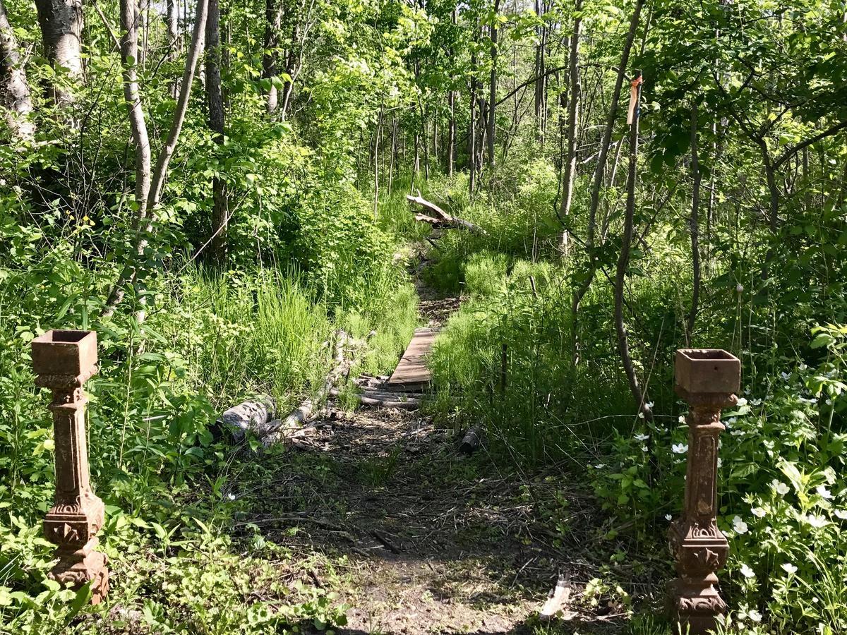 Cedar Ridge Cabins Honor Buitenkant foto